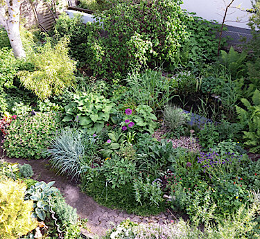 Das Umweltamt informiert - Auch 2026 wieder naturnahe Gartenberatungen